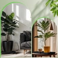 thumbnail image 5 of GIXUSIL 10Pcs 9 x 9 Inch Plastic Square Plant Saucer Large Square Plant Tray Planter Water Tray Garden Plant Pot Drainage Dish Thick Water Receiving Tray for Pots Base Indoor and Outdoor, Black, 5 of 6