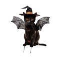 thumbnail image 2 of Estatua de gato para jardín shamjiam decoración de Halloween estaca de metal realista 233 x 28 cm, 2 of 8