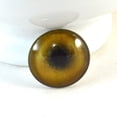 thumbnail image 2 of Tan Lion Glass Eyes, 2 of 7