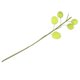 thumbnail image 5 of unbranded Arreglo Floral Artificial En Verde Claro Para Romántica Y Manualidades, 5 of 8