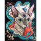 thumbnail image 1 of Taladro de pintura de diamante FLhrweasw 5D Gato sin pelo Mosaico completo 20X30cm Nuevo, 1 of 1