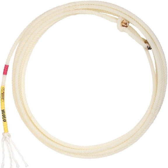 Cactus Ropes Mojo 31 ft Nylon Poly 4 Strand XS