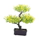 thumbnail image 4 of Bonsái artificial, planta artificial, regalos de imitación, adorno decorativo realista Amarillo, 4 of 9