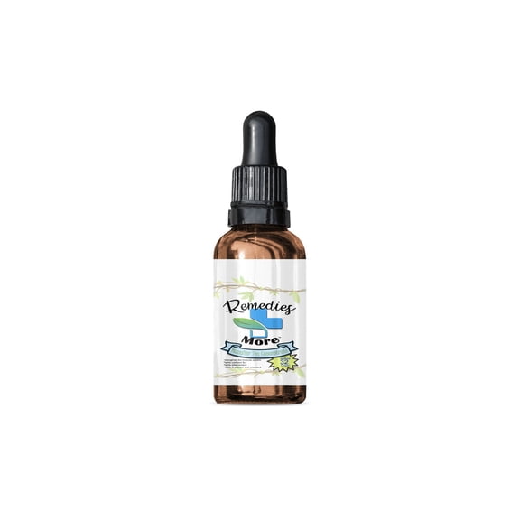Manglier Tea Concentrate - Makes 30 Cups - Just Add Water - Best Taste!