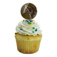 thumbnail image 5 of Baby Zebra Young Foal Cupcake Picks Toppers Decoration Set of 6, 5 of 7