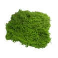 thumbnail image 1 of Musgo verde artificial de 30/100 g para manualidades, plantas de interior, jardines de hadas, centros de mesa, peceras, micropaisajes, musgo artificial decorativo., 1 of 8