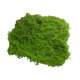 thumbnail image 1 of Musgo verde artificial de 30/100 g para manualidades, plantas de interior, jardines de hadas, centros de mesa, peceras, micropaisajes, musgo artificial decorativo., 1 of 8