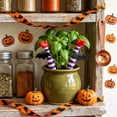 thumbnail image 6 of Wicked Witch Legs Mini Plant Pot Decor – Fun Halloween Planter, Spooky Home Decor, Unique Planter for Indoor & Outdoor Plants, 6 of 7