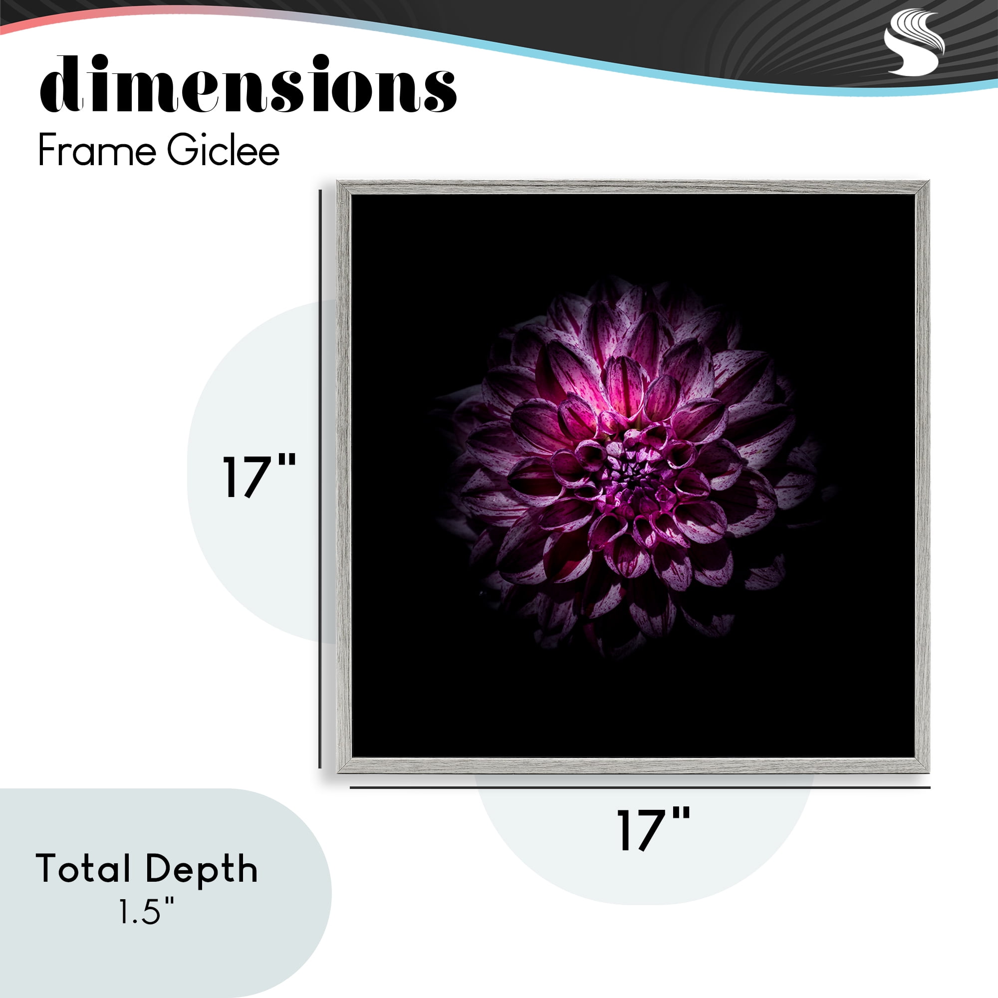 Purple Dahlia Dark Contemporary Gray Framed Giclee Art, design by Brian Carson Photography