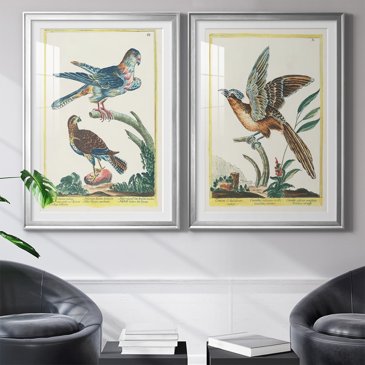 Wexford Home Pastel Birds V Premium Framed Print, 22.5" x 30.5" - Ready to Hang, Silver (Set of 2)