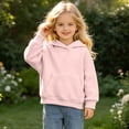 thumbnail image 5 of Besolor Fall Sweatshirts for Toddler Girls Boys Long Sleeve Hoodies Casual Loose Warm Outdoor Workout Pullover Tops with Pocket(2-3 Years,Pink), 5 of 7