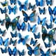 thumbnail image 1 of 12 pegatinas extraíbles 3D de mariposa azul para hacer calcomanías de pared, bricolaje, pegatinas de pared, manualidades, mariposas, decoración del hogar para habitación de niños y niñas Sincero Hogar, 1 of 4