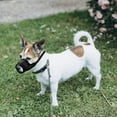 thumbnail image 6 of Minzimin 1Pack Nylon Mesh Breathable Dog Mouth Cover, Quick Fit Dog Muzzle with Adjustable Straps，Pet Mouth Cover, to Prevent Biting and Screaming to Prevent Accidental Eating, 6 of 6