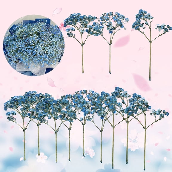Artificial flowers,Breath Flowers Real 12Pcs Dried Real Babysbreath Flowers Home Decor Beautiful For DIY Decor