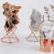 thumbnail image 5 of Soporte de Exhibición Baoblaze Soporte de exhibición mineral 2 Piezas para Bo de Cristal Fósil Mineral de Piedras Preciosas, 5 of 5