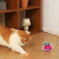 thumbnail image 4 of Outdor Automatic Cat Interactive Swinging Rolling Device Self Balancing Rechargeable 360° Rotating Electronic Cat Indoor Exercise Machine Random Movement No Hold Small Cat, 4 of 6
