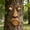 A, variant on Tree Faces Decor Outdoor, Large Whimsical Old Man Tree Hugger Statues, Resin Tree Art for Garden Yard Patio, Funny Tree Peeker Sculptures for Halloween Easter (B)