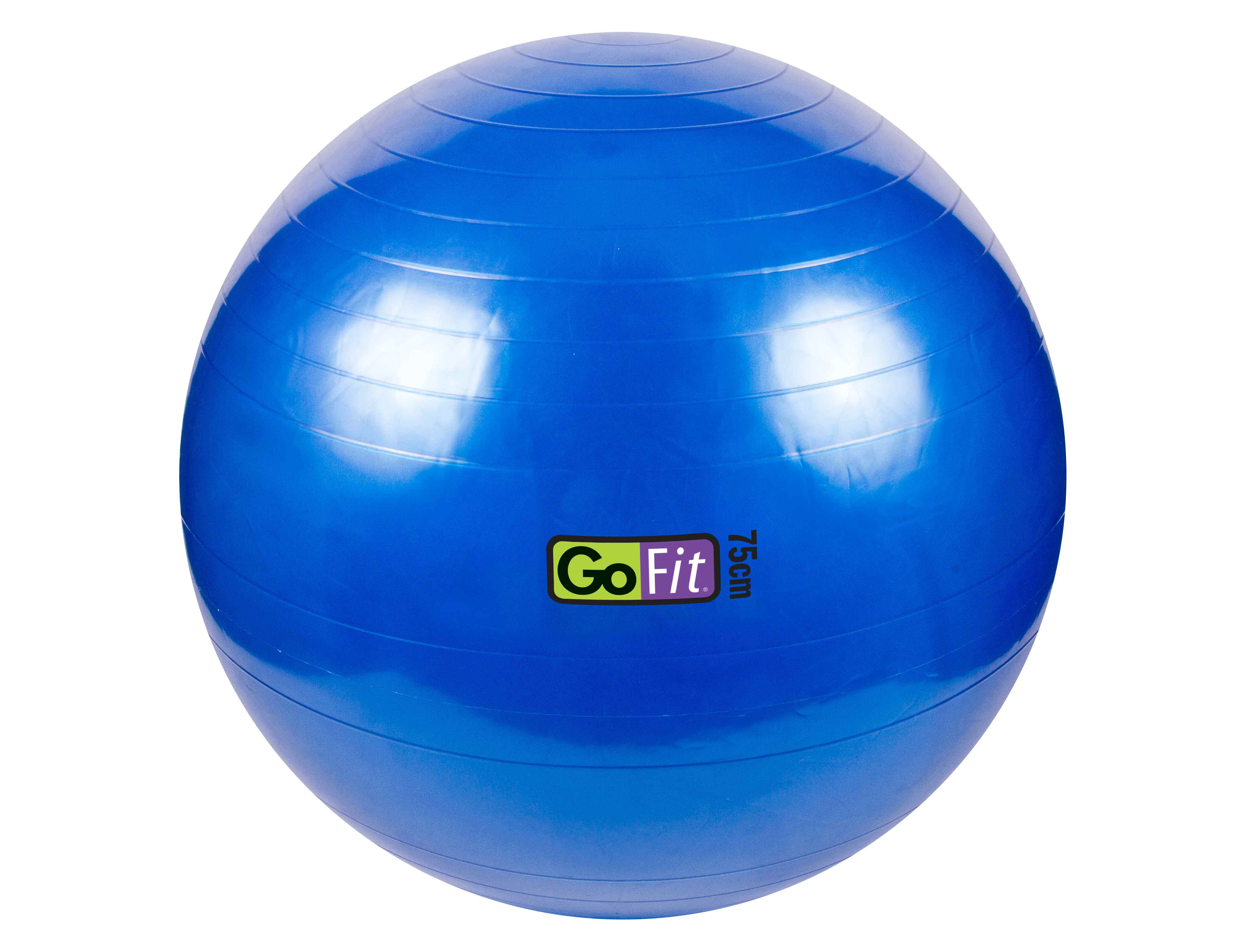 gofit stability ball