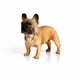 thumbnail image 2 of Figuras de simulación de perro de montaña bernés, gran danés, bóxer, bull terrier, pug y bulldog, figuras de cachorros de juguete, variedad de animales caninos a granel, 2 of 5