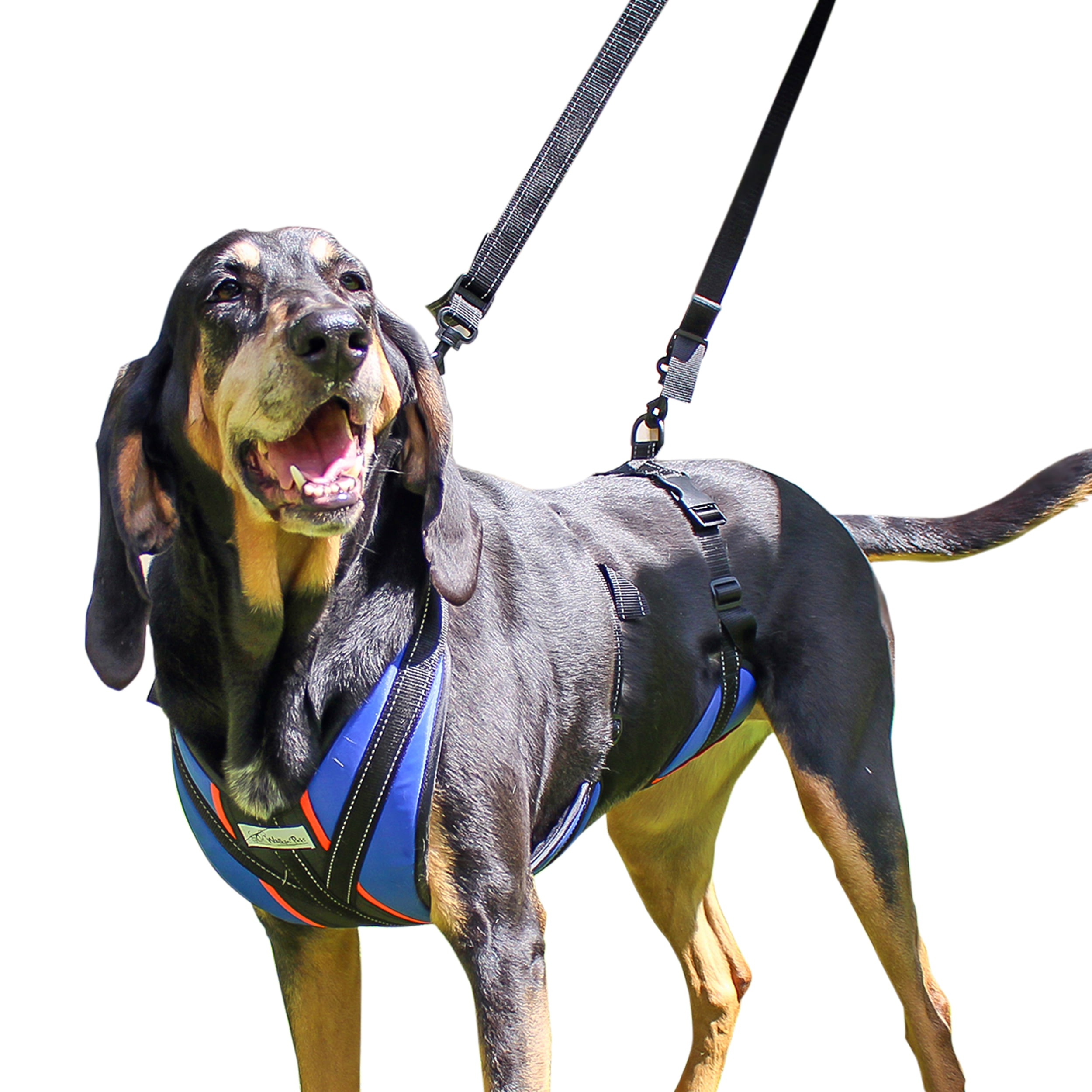 Walkin' Pets LiftnStep Dog Harness for Full Body Support Blue