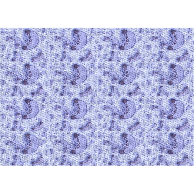 Ahgly Company Tapis Rectangulaire d'Intérieur Lavable en Machine Violet Transitionnel, 5 Pieds x 8 Pieds