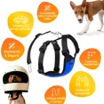 thumbnail image 3 of Pechera Perro Con Cinturon De Seguridad Mascretta Arnés, 3 of 8