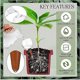 thumbnail image 2 of Plant Bulbs Insert With Terracotta Spikes,slow Release Se-lf Waterings System, 2 of 5