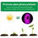 thumbnail image 4 of Lámpara LED para plantas de 5 V, lámpara LED para crecimiento hortícola y floración, lámpara de cultivo para plantas de espectro completo 2835 SMD con USB, tira de luz para crecimiento de plantas de i, 4 of 5