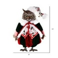 thumbnail image 2 of Vickerman 14" Holly Jolly Collection Owl Doll, 2 of 2