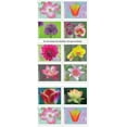 thumbnail image 3 of USPS Garden Beauty 2021 Forever Stamps Postage 1 Booklet 20 First-Class Letter Mail, 3 of 4
