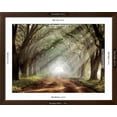 thumbnail image 4 of Art.com Evergreen Plantation Photographic Print by Mike Jones, Brown Frame Wall Art, 40" x 32", 4 of 4