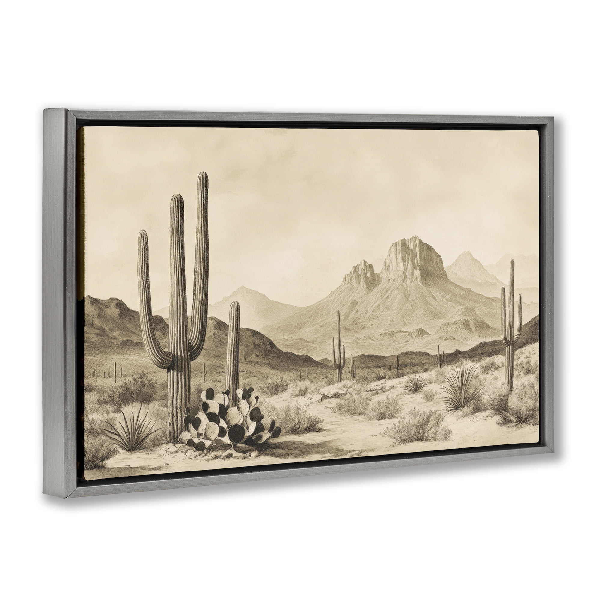 Stupell Industries Arizona Desert Vista Gray Framed Floater Canvas Wall Art, design by Petal Prints Design
