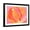 Black Frame, variant on Art.com Cabbage Rose I Art Print by Carolyn Roth, 16" x 12"