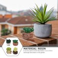 thumbnail image 5 of 4pcs adornos en miniatura adornos suculentos decoración del musgo (estilo aleatorio), 5 of 5