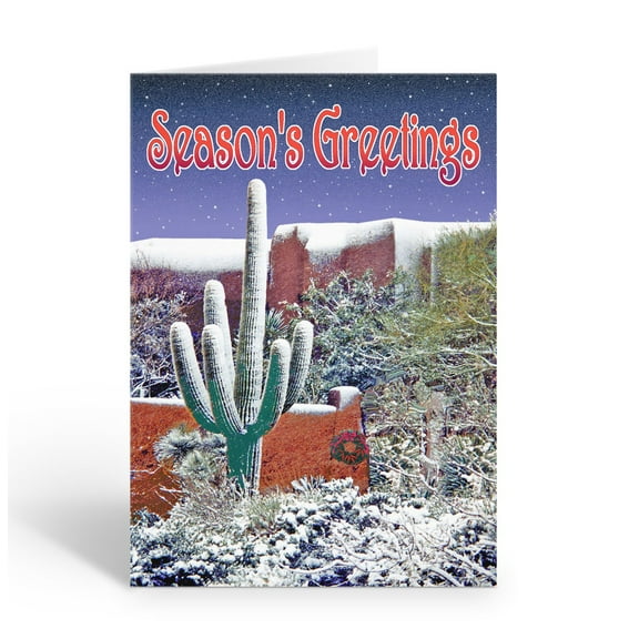 Snowing in the Desert Holiday Card - 18 Holiday Cards & 19 Envelopes - 40104