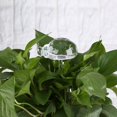 thumbnail image 4 of Garden Glass Watering Sprinkler  Self Watering System Irrigation  Plant Automatic Self Watering System  Shaped House Plant Automatic Self Watering System Irrigation For Garden, 4 of 8