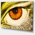 thumbnail image 2 of Eye with Orange Pupil, 2 of 3