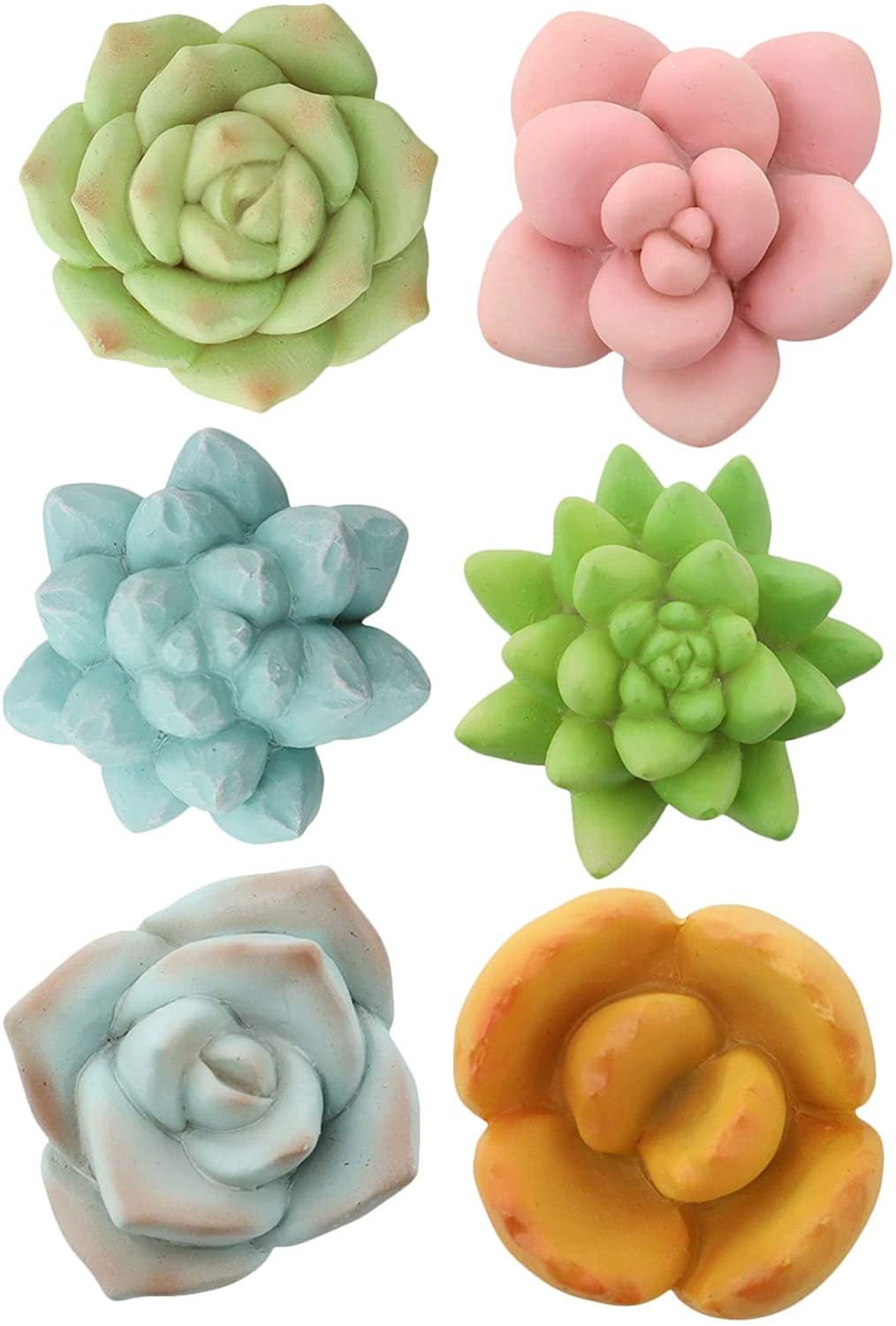 Set of 2 Refrigerator or Whiteboard Magnets Spring Inspired or 6 Rose Magnets made of Resin Customizable Color Flower Magnets 4