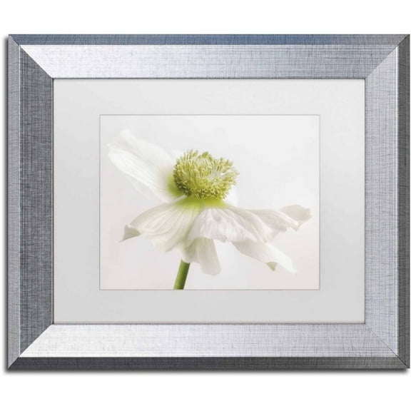 Trademark Fine Art 'White Anemone Flower' Canvas Art by Cora Niele, White Matte, Silver Frame