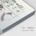thumbnail image 3 of Botanical Society Ferns III Premium Gallery Wrapped Canvas - Ready to Hang, 3 of 9
