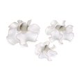thumbnail image 2 of Nia Table or Wall Vases - Set of 3, 2 of 6