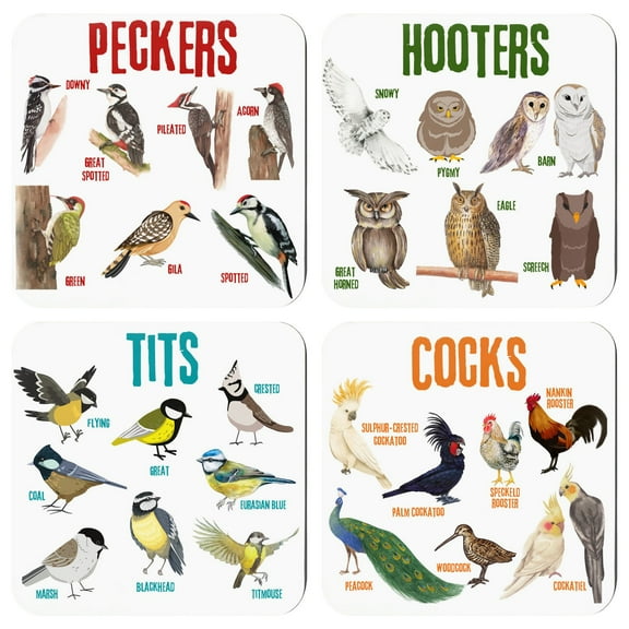 HCTSHG Bird Word Game Placemats, Funny Placemats Set of 4, Square Placemats Funny Placemats for Drinks Premium Design Placemats Home Decor Placemats Gift