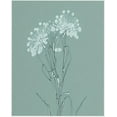 thumbnail image 3 of Martha Spak Designs Vintage Wildflower Art Prints Set of 3, 3 of 4