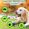 thumbnail image 6 of Nature’s Dome Flea & Tick Starter Kit – Makes 3 Bottles (16 oz Each) – Plant-Based, Eco-Friendly Formula – Kills & Repels Fleas, Ticks, Larvae & Eggs – Safe for Pets, Kids & Plants, 6 of 8
