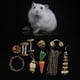 thumbnail image 5 of Juguete de conejito de Guinea, juguete para chinchillas, juguete masticable para hámster, madera natural H, 5 of 8