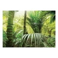 thumbnail image 2 of Tiptophomedecor Peel and Stick Forest Wallpaper Wall Mural - Green Alley - Removable Wall Decals, 2 of 3