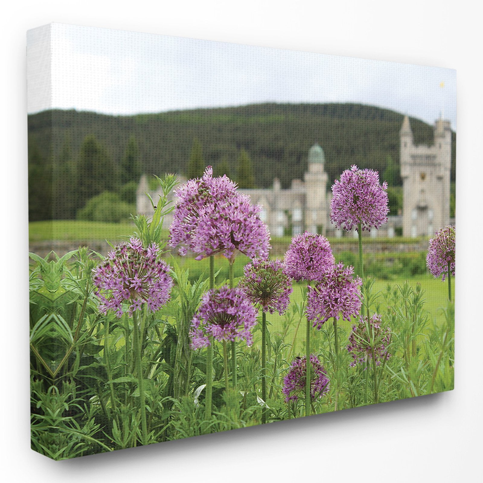 The Stupell Home Decor Collection Royal Castle Flowers Wall Art