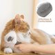 thumbnail image 4 of Dog Comb Brush Cat Grooming Brush with Smooth handle, Daily Use to Clean Loose Fur & Dirt, Great for Dogs Cats & Rabbits With Hair, 4 of 4