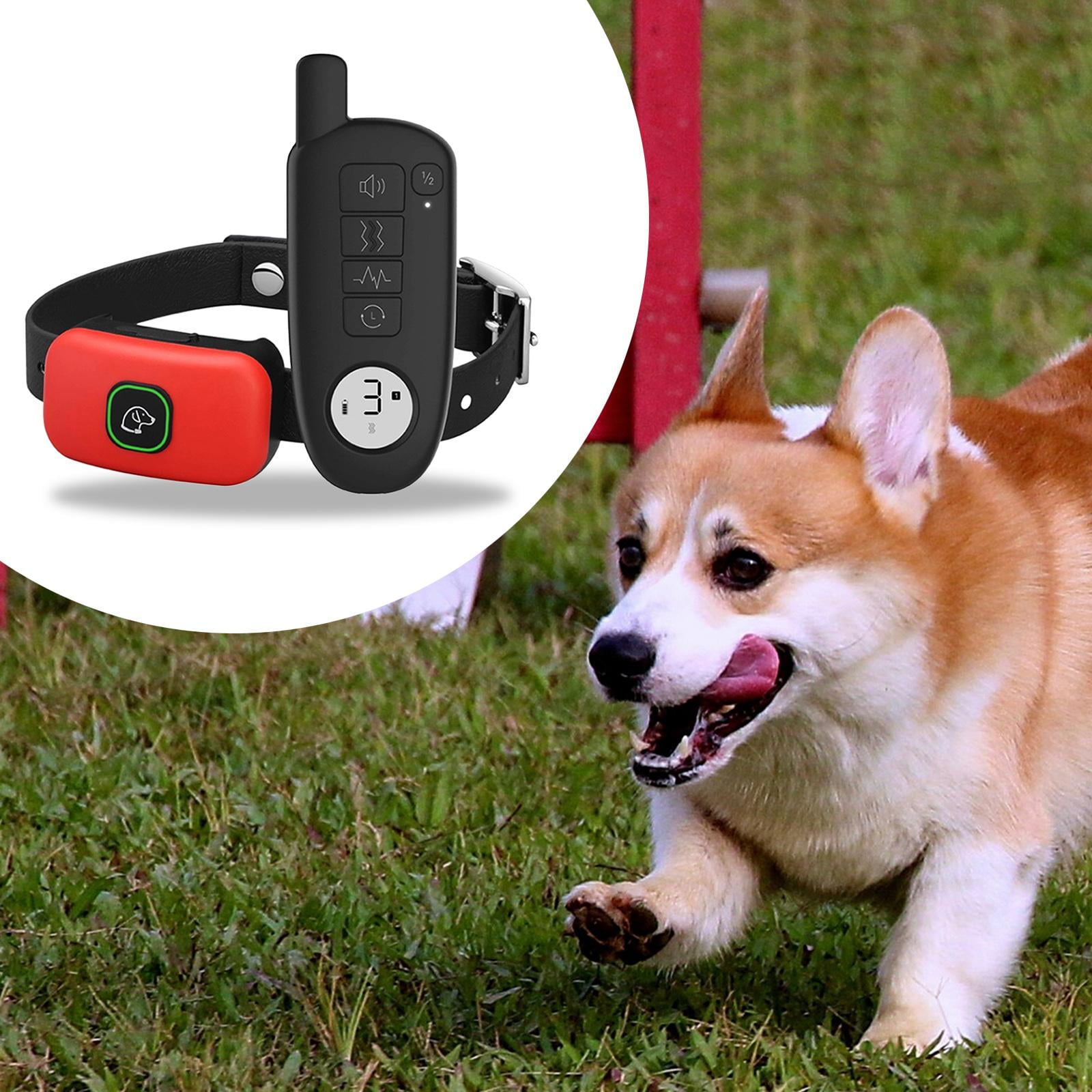 800m Electric Dog Training Collar Waterproof Pet Remote Control Rechargeable red Walmart