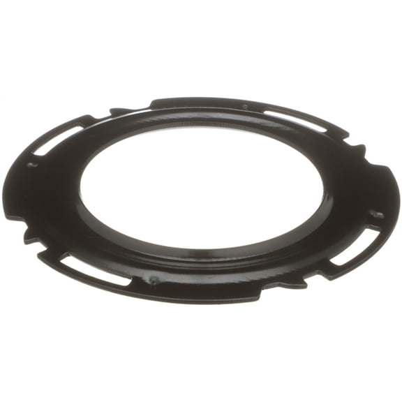 Delphi Fuel Tank Lock Ring